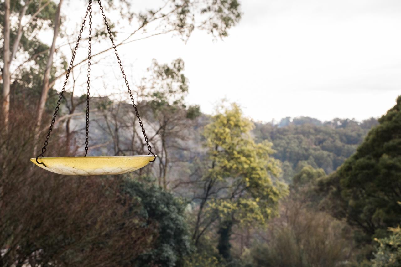 Rustic Refuge Guesthouse Kalorama Luaran gambar